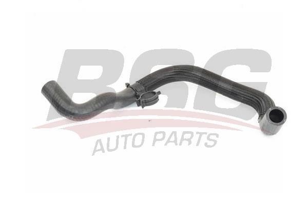 BSG 65-720-171 Hose, heat exchange heating 65720171