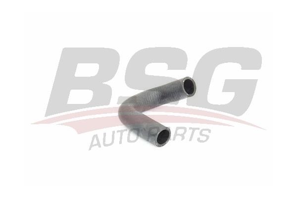 BSG 30-720-231 Radiator hose 30720231