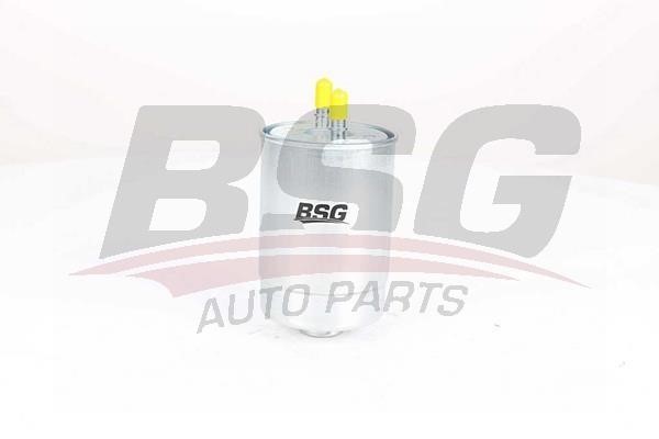 BSG 75-130-004 Fuel filter 75130004
