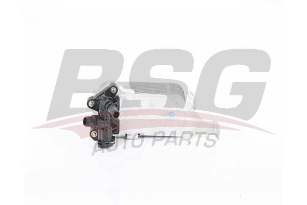 BSG 15-506-043 Oil Cooler, automatic transmission 15506043