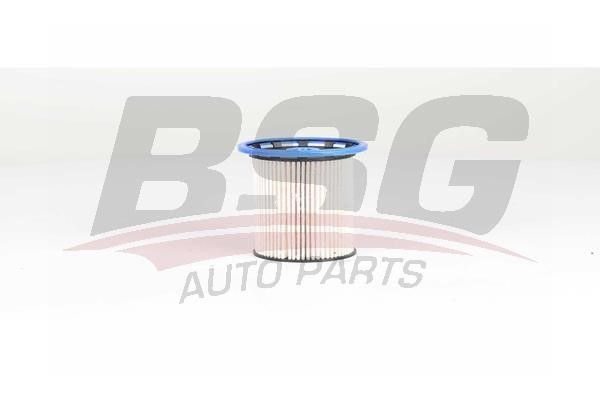 BSG 90-130-034 Fuel filter 90130034