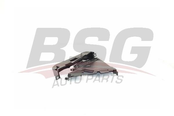BSG 75-116-001 Cover, timing belt 75116001