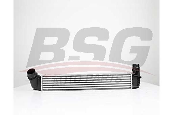BSG 75-535-004 Intercooler, charger 75535004
