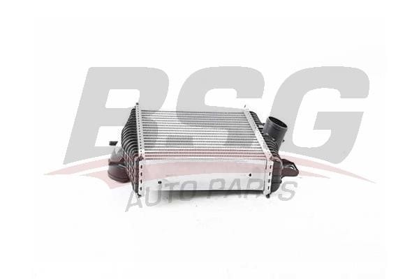 BSG 15-535-015 Intercooler, charger 15535015