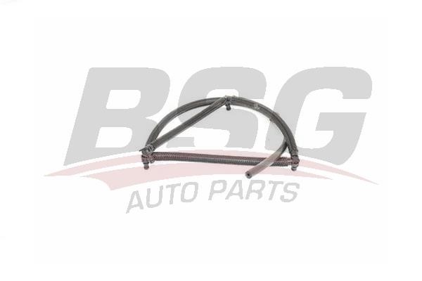 70725013 BSG Hose, fuel overflow