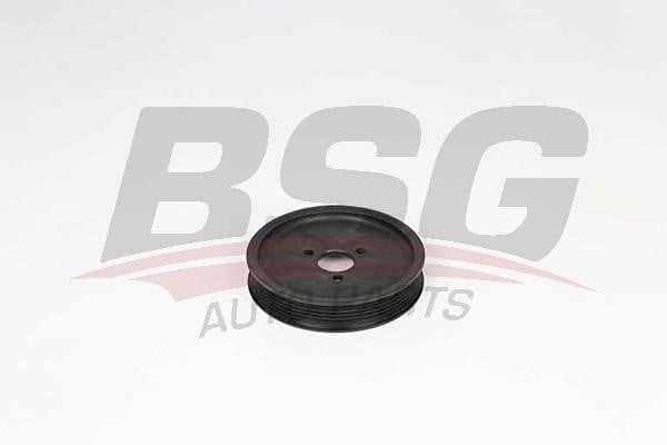 BSG 15-371-002 Belt Pulley, hydraulic pump (leveling control) 15371002