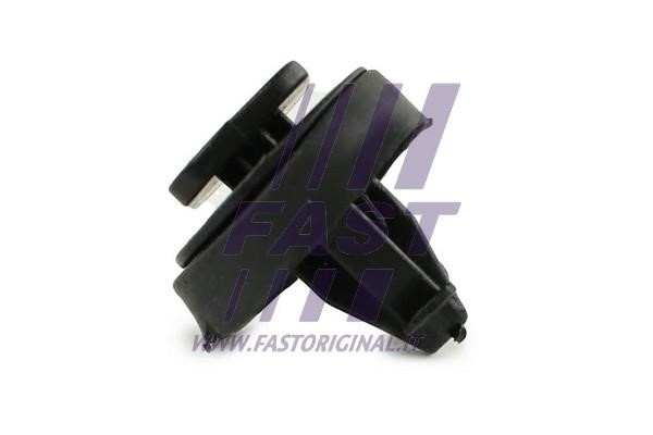 Fast FT96310 Clip, trim/protective strip FT96310