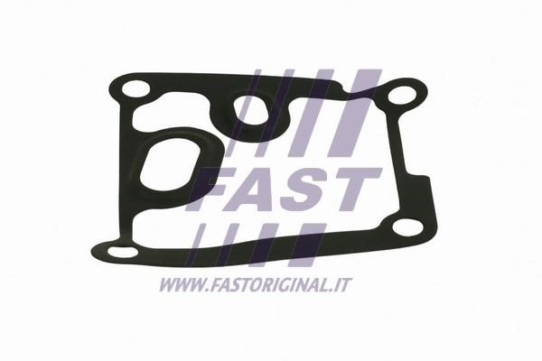 Fast FT38801 Seal, oil cooler FT38801