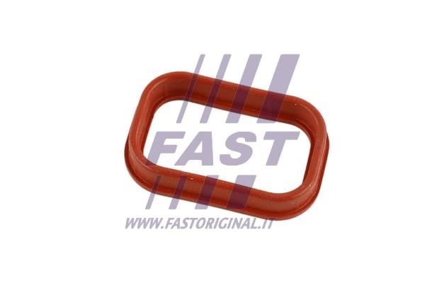 Fast FT49435 Gasket, intake manifold FT49435