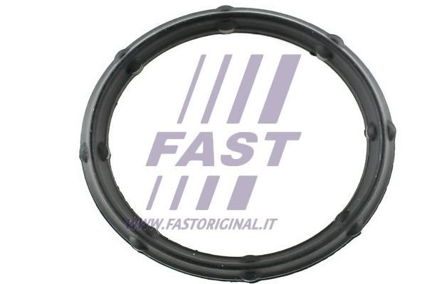Fast FT49424 Gasket, intake manifold FT49424