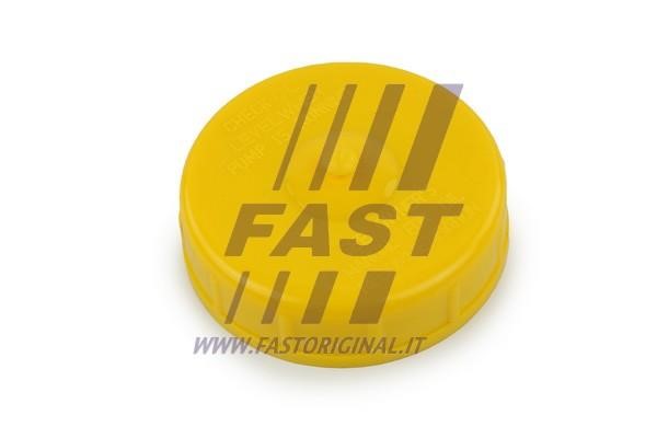 Fast FT94743 Seal Ring, power steering pump blanking plug FT94743