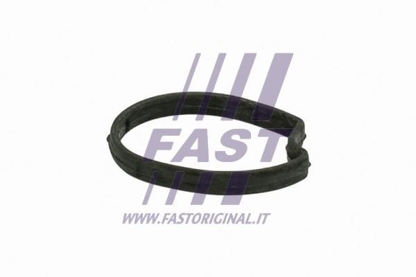 Fast FT58301 Gasket, thermostat housing FT58301