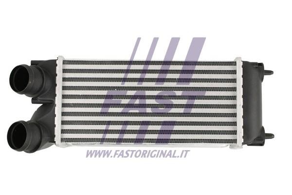 Fast FT55573 Intercooler, charger FT55573