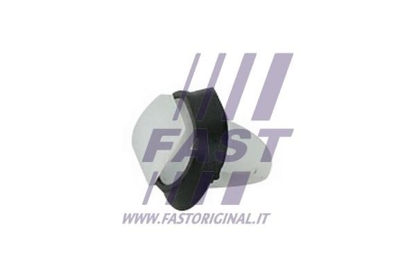 Fast FT96300 Clip, trim/protective strip FT96300