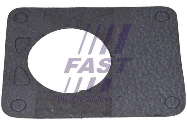 Fast FT49901 Seal FT49901