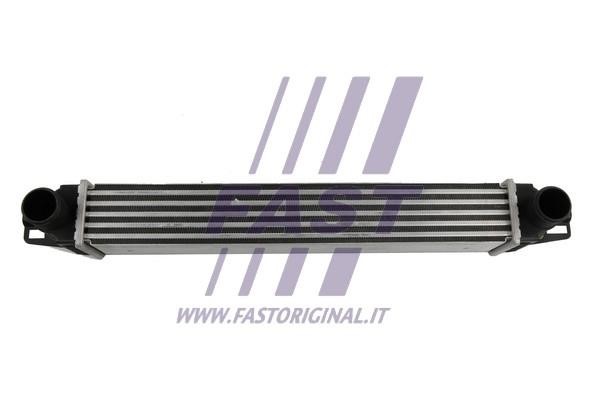 Fast FT55586 Intercooler, charger FT55586