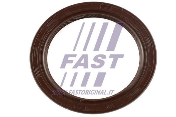 Fast FT49813 Shaft Seal, differential FT49813