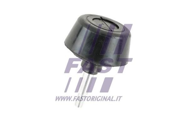 Fast FT95478 Door limiter FT95478 FT95478 Fast Door limiter