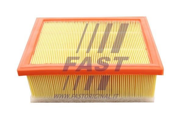 Fast FT37174 Air filter FT37174 FT37174 Fast Air filter