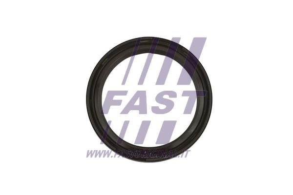Fast FT49819 Crankshaft oil seal FT49819