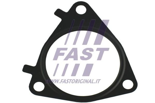 Fast FT49546 Seal, EGR valve FT49546
