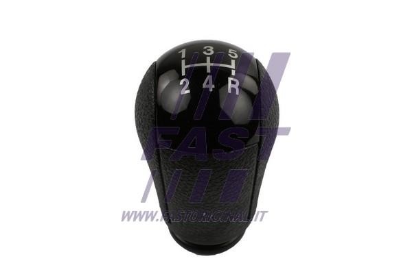 FT73229 Fast Gear knob