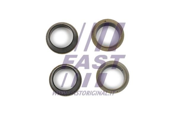 Fast FT49843 Seal Kit, injector nozzle FT49843