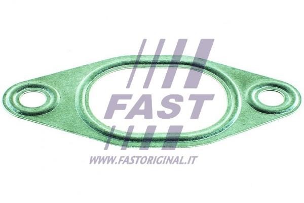 Fast FT49428 Exhaust manifold dichtung FT49428