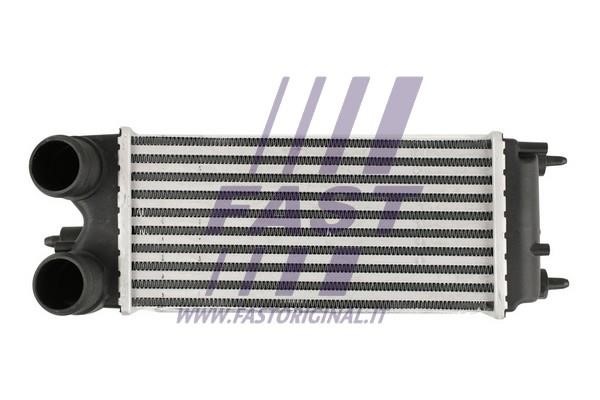 Fast FT55574 Intercooler, charger FT55574