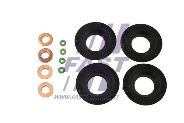 Fast FT49850 O-rings for fuel injectors, set FT49850