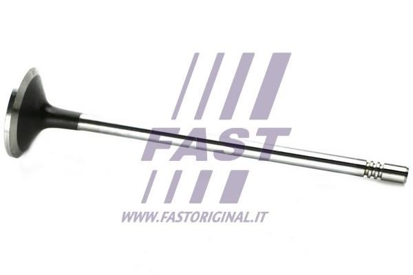 Fast FT50133 Intake valve FT50133