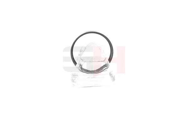 GH-Parts GH-493763 Sensor Ring, ABS GH493763