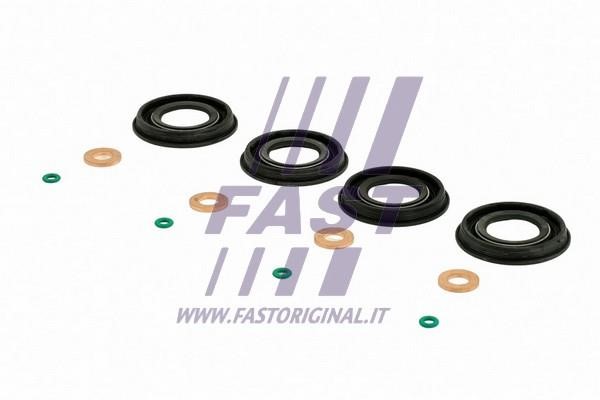 Fast FT49651 Seal Kit, injector nozzle FT49651