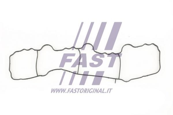 Fast FT49430 Gasket, intake manifold FT49430