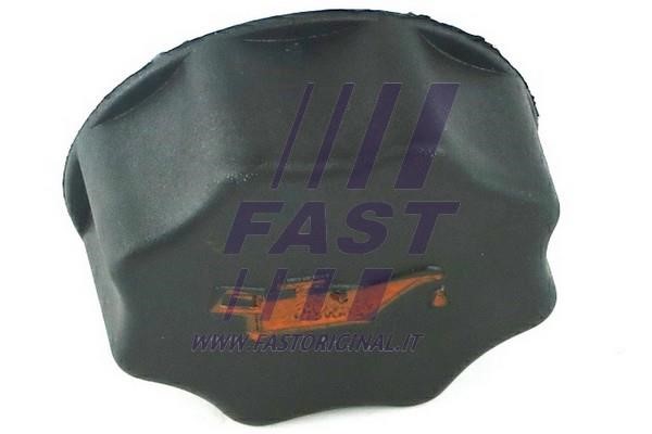 Fast FT94718 Oil filler cap FT94718