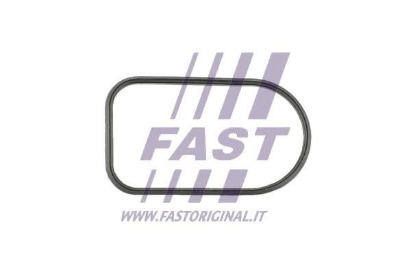 Fast FT49425 Gasket, intake manifold FT49425