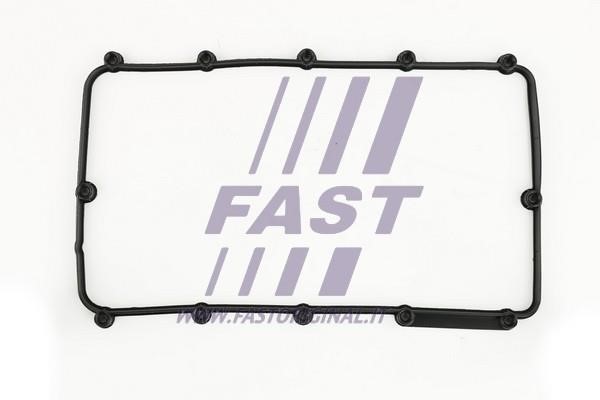 Fast FT49013 Gasket, cylinder head cover FT49013