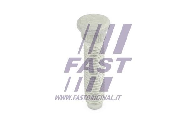 FT21529 Fast Wheel bolt
