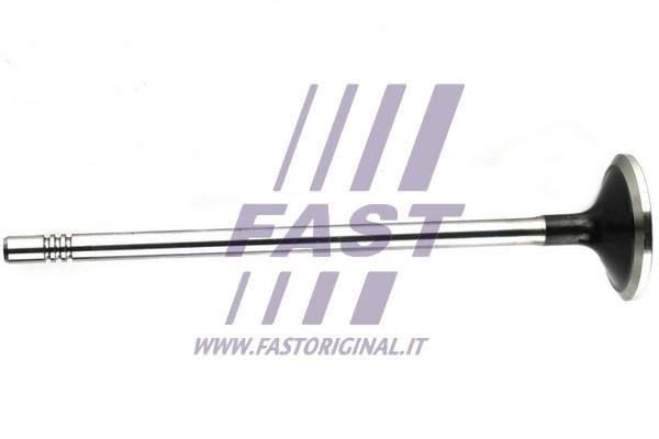 Fast FT50132 Exhaust valve FT50132