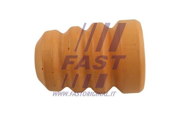 Fast FT18113 Front shock absorber bump FT18113