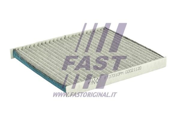 Fast FT37310PM Filter, interior air FT37310PM