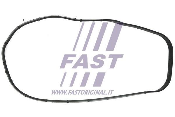 Fast FT49065 Gasket, timing case FT49065