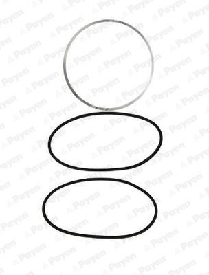 Wilmink Group WG1460707 O-rings for cylinder liners, kit WG1460707