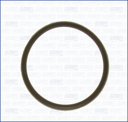 Wilmink Group WG1751264 Termostat gasket WG1751264