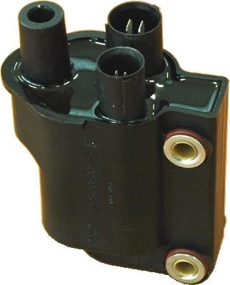 Wilmink Group WG1012362 Ignition coil WG1012362