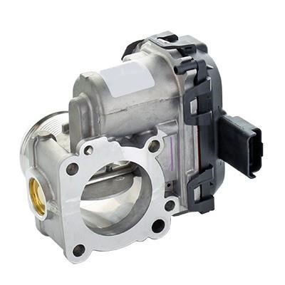 Wilmink Group WG1916378 Throttle body WG1916378