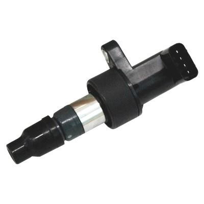 Wilmink Group WG1012421 Ignition coil WG1012421