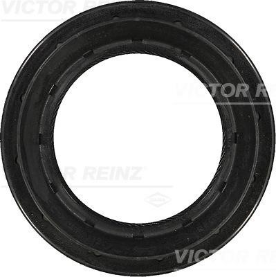 Wilmink Group WG1250043 Shaft Seal, differential WG1250043