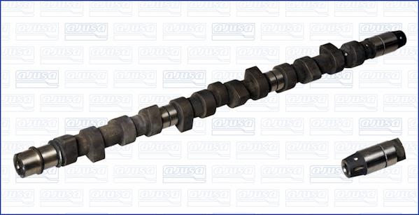 Wilmink Group WG1171008 Camshaft WG1171008