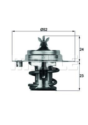 Wilmink Group WG2177990 Thermostat, coolant WG2177990